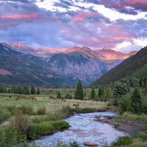 Image post by @tellurideski on Instagram