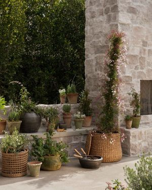 Image post by @shoppeamberinteriors on Instagram