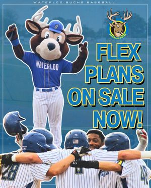 Image post by @waterloobucksbaseball on Instagram