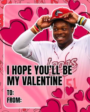 Image post by @greatlakesloons on Instagram