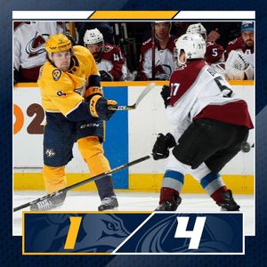 Image post by @predsnhl on Instagram