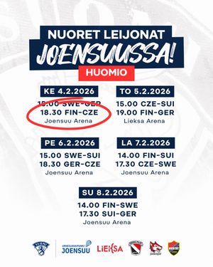 Image post by @leijonatfi on Instagram