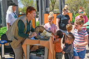 Image post by @denverzoo on Instagram