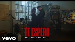 Video post by @princeroycevevo on YouTube