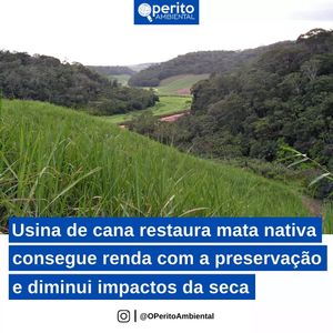 Image post by @operitoambiental on Instagram
