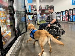 Image post by @canineorg on Instagram