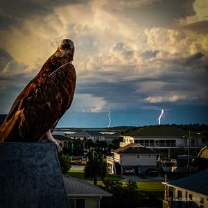 Image post by @foxweather on Instagram