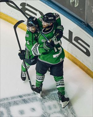 Image post by @fl_everblades on Instagram