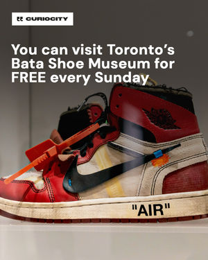 Image post by @curiocitytoronto on Instagram