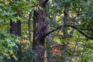 Image post by @mike_cahill_jpg on Instagram