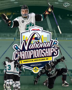 Image post by @ohiohockeyd2 on Instagram