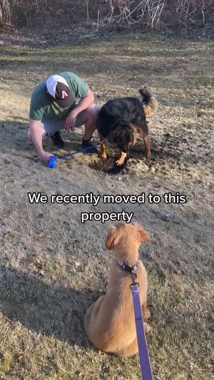 Video post by @karlywatson0 on TikTok