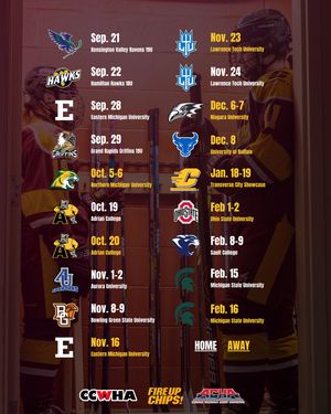 Image post by @cmu_wclubhockey on Instagram