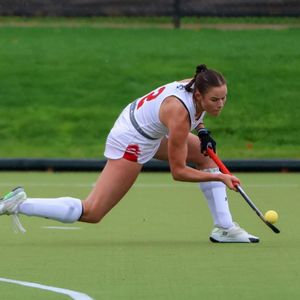 Image post by @terrierfh on Instagram