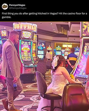 Image post by @goldennuggetonline on Instagram