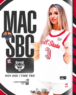Image post by @ballstatewbb on Instagram
