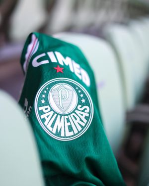 Image post by @palmeiras on Instagram