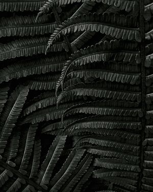 Image post by @unsplash on Instagram