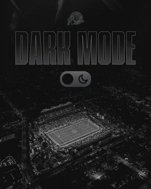 Image post by @hamiltontigercats on Instagram