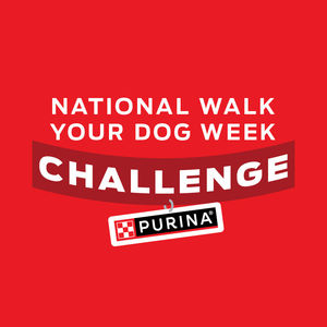 Image post by @purina on Instagram