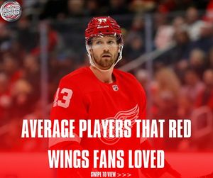 Image post by @redwingscoverage on Instagram