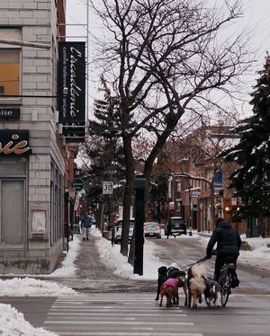 Image post by @mtl_unscripted on Instagram