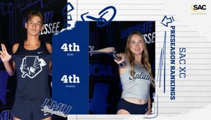 Image post by @lmurailsplitters on Instagram