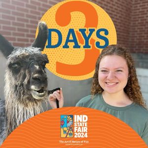 Image post by @indystatefair on Instagram