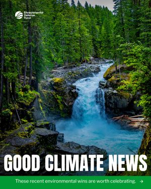 Image post by @environmental_defense_fund on Instagram