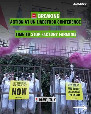 Image post by @greenpeace on Instagram