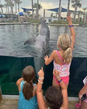 Image post by @bubbawatson on Instagram