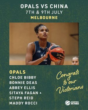 Image post by @basketball_vic on Instagram