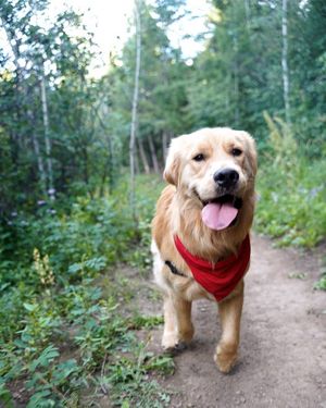 Image post by @arrowheadco on Instagram