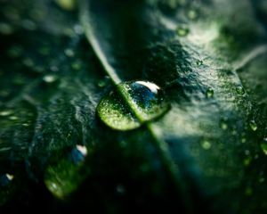Image post by @lathanuelf_photos on Instagram