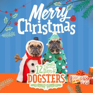 Image post by @dogstersicecream on Instagram