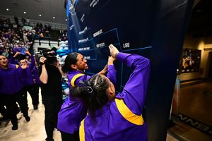 Image post by @lsugym on Instagram
