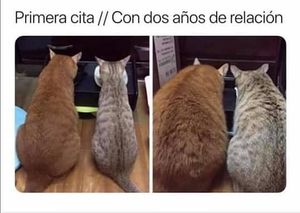 Image post by @israelgalindov on Instagram