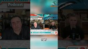 Video post by @dolphinstalk on YouTube