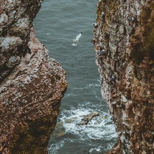 Image post by @rspb on Instagram