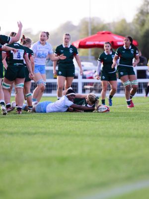 Image post by @salesharkswomen on Instagram