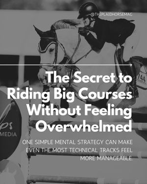 Image post by @theplaidhorsemag on Instagram