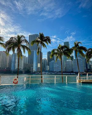 Image post by @mo_miami on Instagram