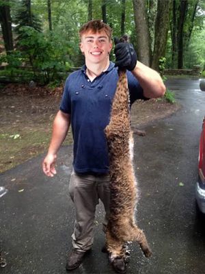 Image post by @vandalhoops on Instagram