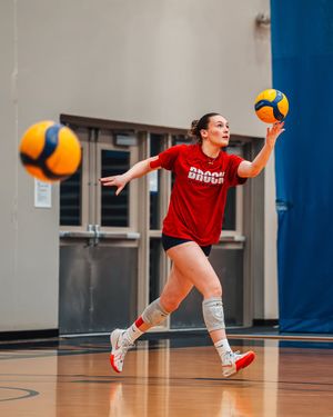 Image post by @brockbadgers on Instagram