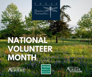 Image post by @txextension on Instagram