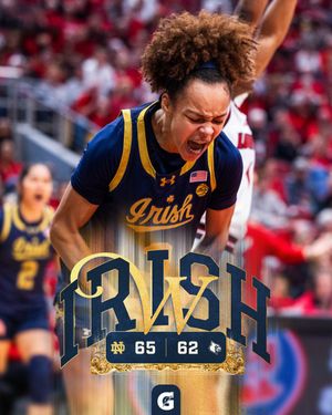 Image post by @ndwbb on Twitter