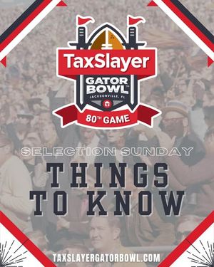 Image post by @taxslayergatorbowl on Instagram