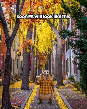 Image post by @palottery on Instagram
