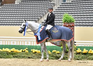 Image post by @kyhorseshows on Instagram
