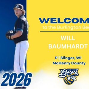 Image post by @burlington_bees on Instagram